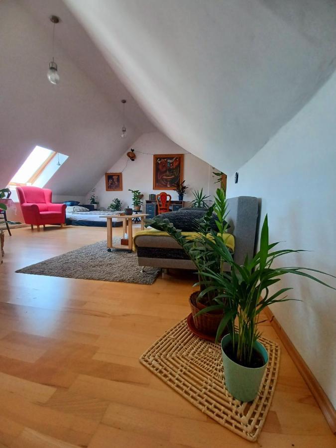 Artist Apartment Banska Bystrica Bagian luar foto